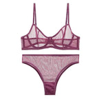 Mesh Transparent Ultra-Thin Bra Set