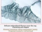Hot Sexy Transparent Lace Hollow-Out Embroidery Bra Set - Plus Size - SHOPPERS' CASTLE