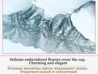 Hot Sexy Transparent Lace Hollow-Out Embroidery Bra Set - Plus Size - SHOPPERS' CASTLE
