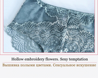Hot Sexy Transparent Lace Hollow-Out Embroidery Bra Set - Plus Size - SHOPPERS' CASTLE