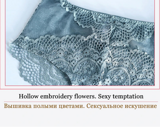 Hot Sexy Transparent Lace Hollow-Out Embroidery Bra Set - Plus Size - SHOPPERS' CASTLE