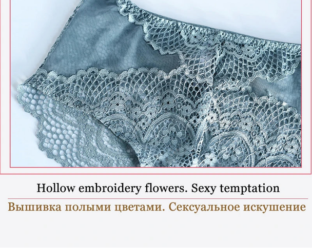 Hot Sexy Transparent Lace Hollow-Out Embroidery Bra Set - Plus Size - SHOPPERS' CASTLE