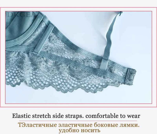 Hot Sexy Transparent Lace Hollow-Out Embroidery Bra Set - Plus Size