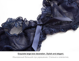 Fashion Embroidery Lingerie Set - Plus Size C/D Cup