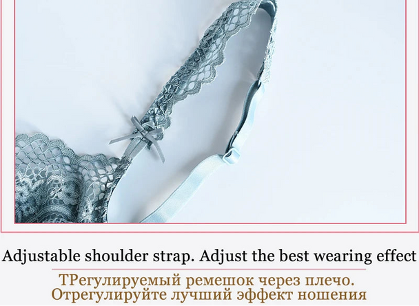 Hot Sexy Transparent Lace Hollow-Out Embroidery Bra Set - Plus Size - SHOPPERS' CASTLE