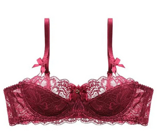 Lace Embroidered Bra - Plus Size C/D Cup