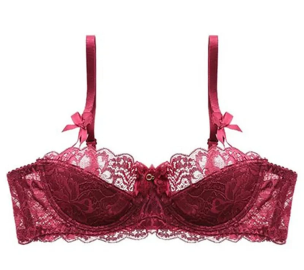 Lace Embroidered Bra - Plus Size C/D Cup