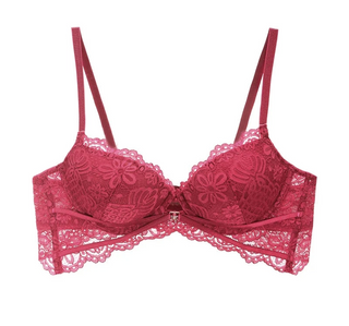 Embroidered Cotton Push-Up Bra