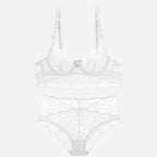 Hot Sexy Transparent Lace Hollow-Out Embroidery Bra Set - Plus Size