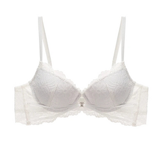 Embroidered Cotton Push-Up Bra - SHOPPERS' CASTLE