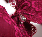 Classic Lace Embroidered Push-Up Bra