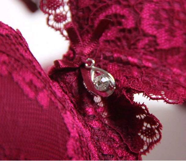 Classic Lace Embroidered Push-Up Bra
