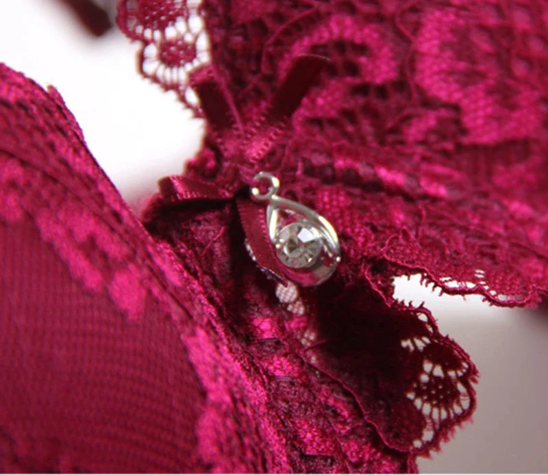 Classic Lace Embroidered Push-Up Bra