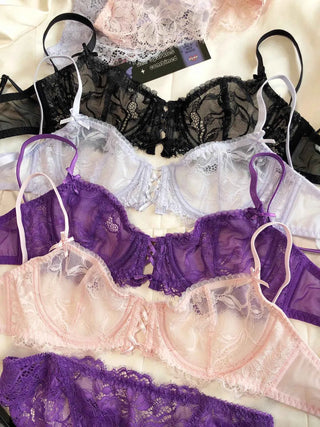 Sexy Hollow French Lace Embroidery Bra Set