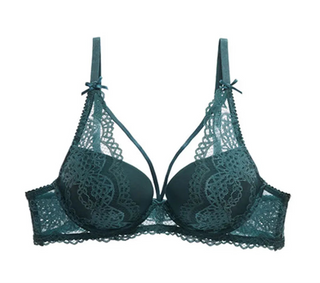 Cotton Luxe Embroidered Bra - Maximum Lift & Support - SHOPPERS' CASTLE