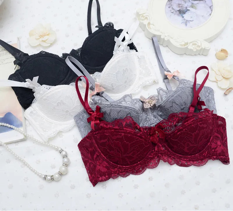 Lace Embroidered Bra - Plus Size C/D Cup - SHOPPERS' CASTLE