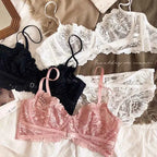Hollow Lace Ultra-Thin Push-Up Bra Set - Plus Size C/D