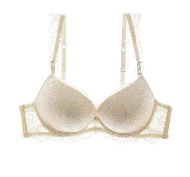 Classic Lace Embroidered Push-Up Bra - SHOPPERS' CASTLE
