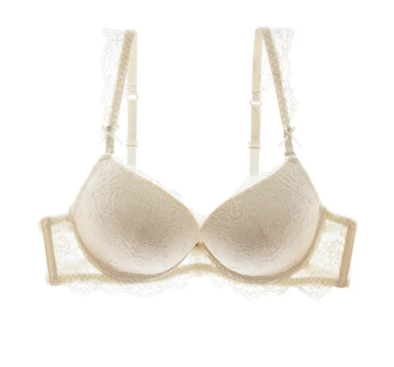 Classic Lace Embroidered Push-Up Bra - SHOPPERS' CASTLE