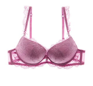 Classic Lace Embroidered Push-Up Bra - SHOPPERS' CASTLE