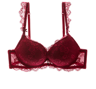 Classic Lace Embroidered Push-Up Bra - SHOPPERS' CASTLE