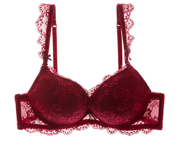 Classic Lace Embroidered Push-Up Bra - SHOPPERS' CASTLE