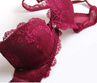 Classic Lace Embroidered Push-Up Bra - SHOPPERS' CASTLE
