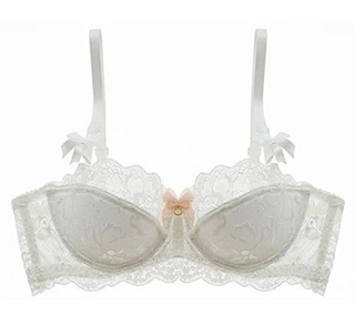 Lace Embroidered Bra - Plus Size C/D Cup - SHOPPERS' CASTLE