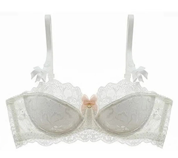 Lace Embroidered Bra - Plus Size C/D Cup - SHOPPERS' CASTLE