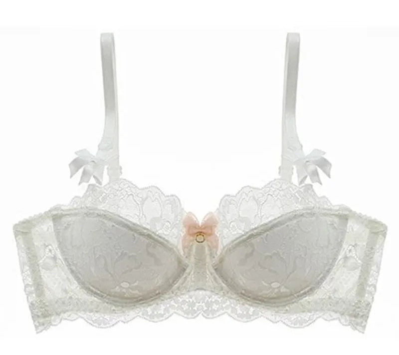 Lace Embroidered Bra - Plus Size C/D Cup - SHOPPERS' CASTLE